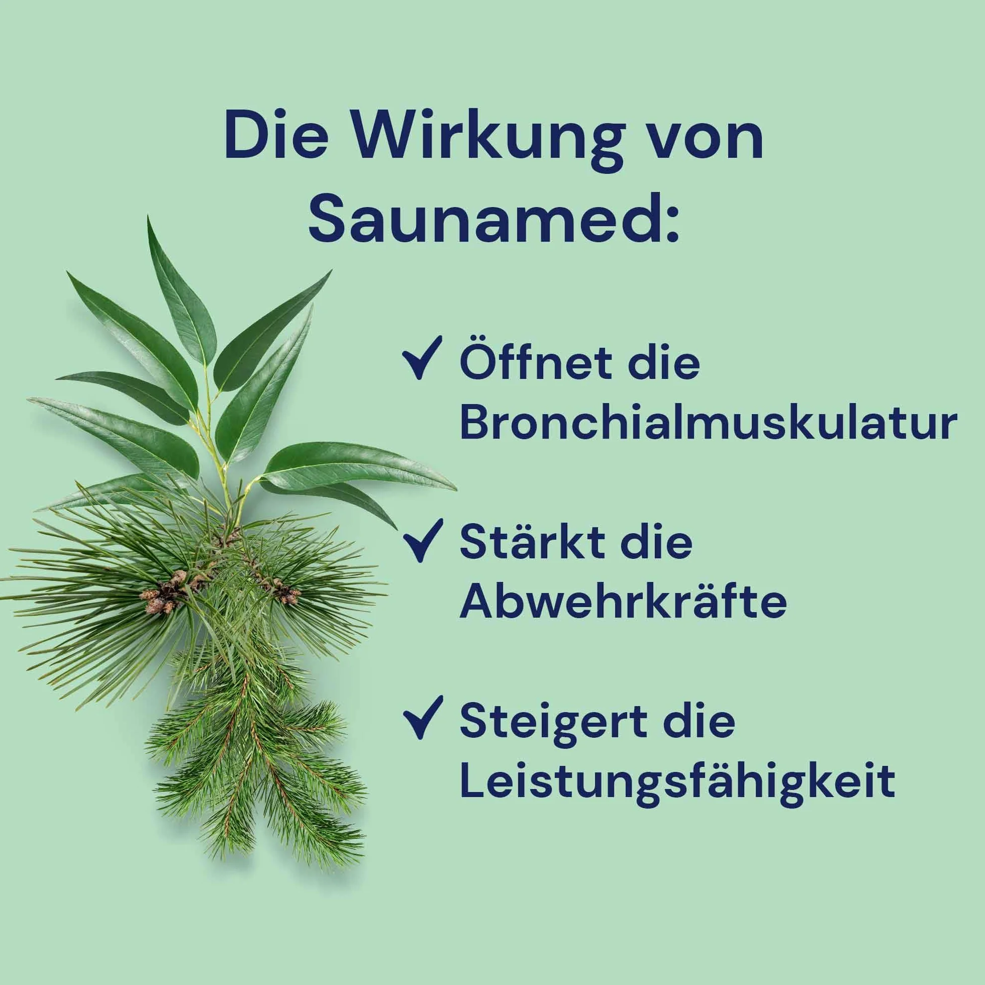 Saunaaufguss “Saunamed“ (1000 ml) von Spitzner