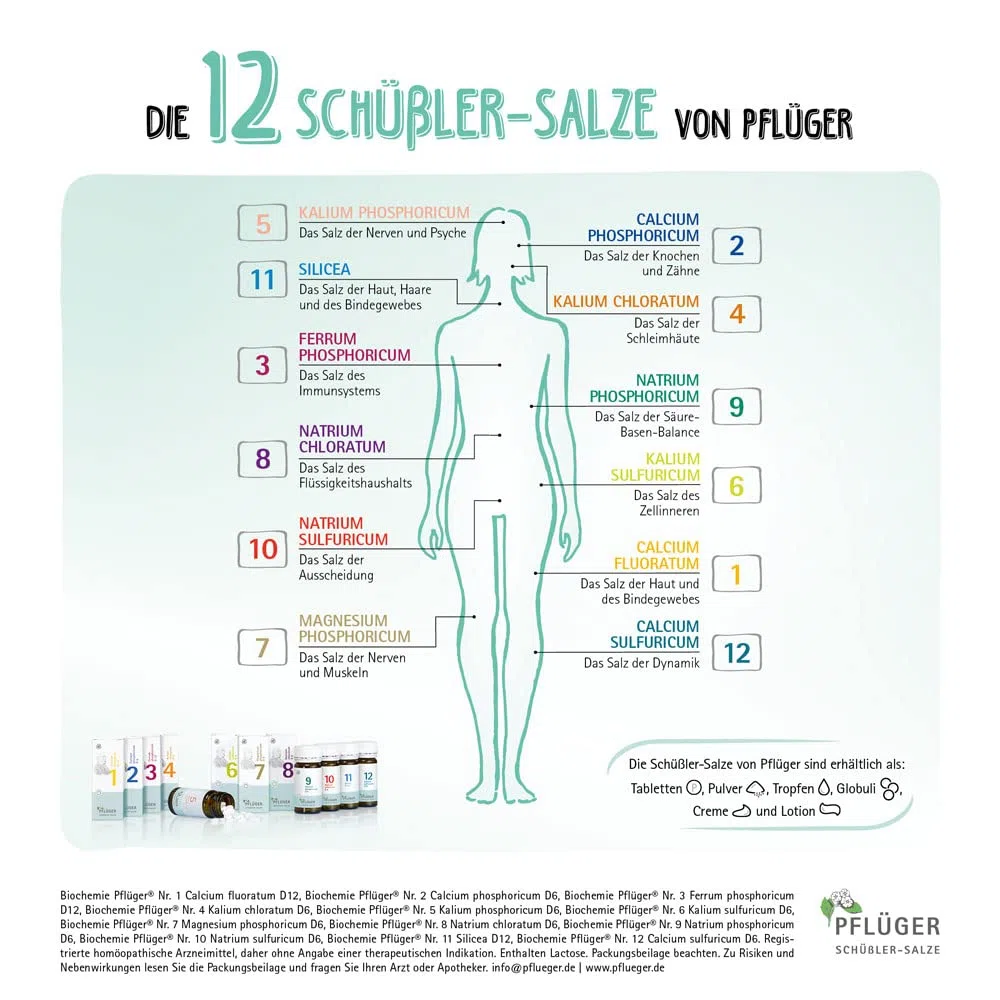 PFLÜGER Schüßler Salze Set Nr. 1-12 je 100 Tabletten + praktischer Tasche - Haus- und Reiseapotheke - glutenfrei