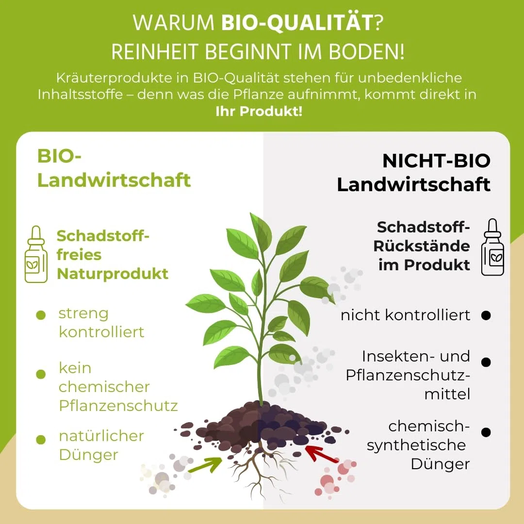NEU! Auwald Blutwurz Tropfen BIO – Hochwertiger Auszug, Extrakt, Essenz & Tinktur – 100% BIO Landwirtschaft, Frei von künstlichen Zusätzen und Farbstoffen, Hergestellt in Österreich – 100ml