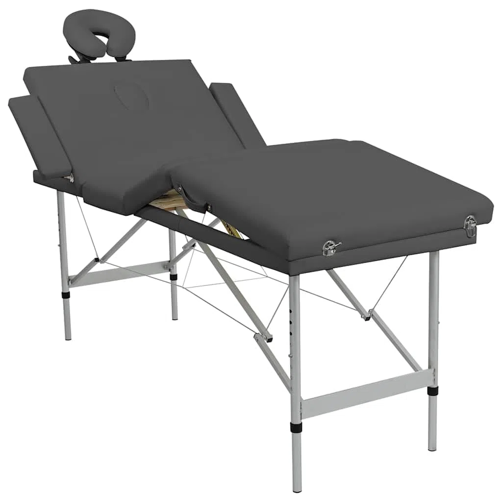Massagetisch 4 Zonen mit Aluminiumrahmen Anthrazit höhenverstellbar 186×68 cm klappbar, gepolstert, mit Kopfteil, Armauflage und Tragetasche für Praxis, Studio und Wellness