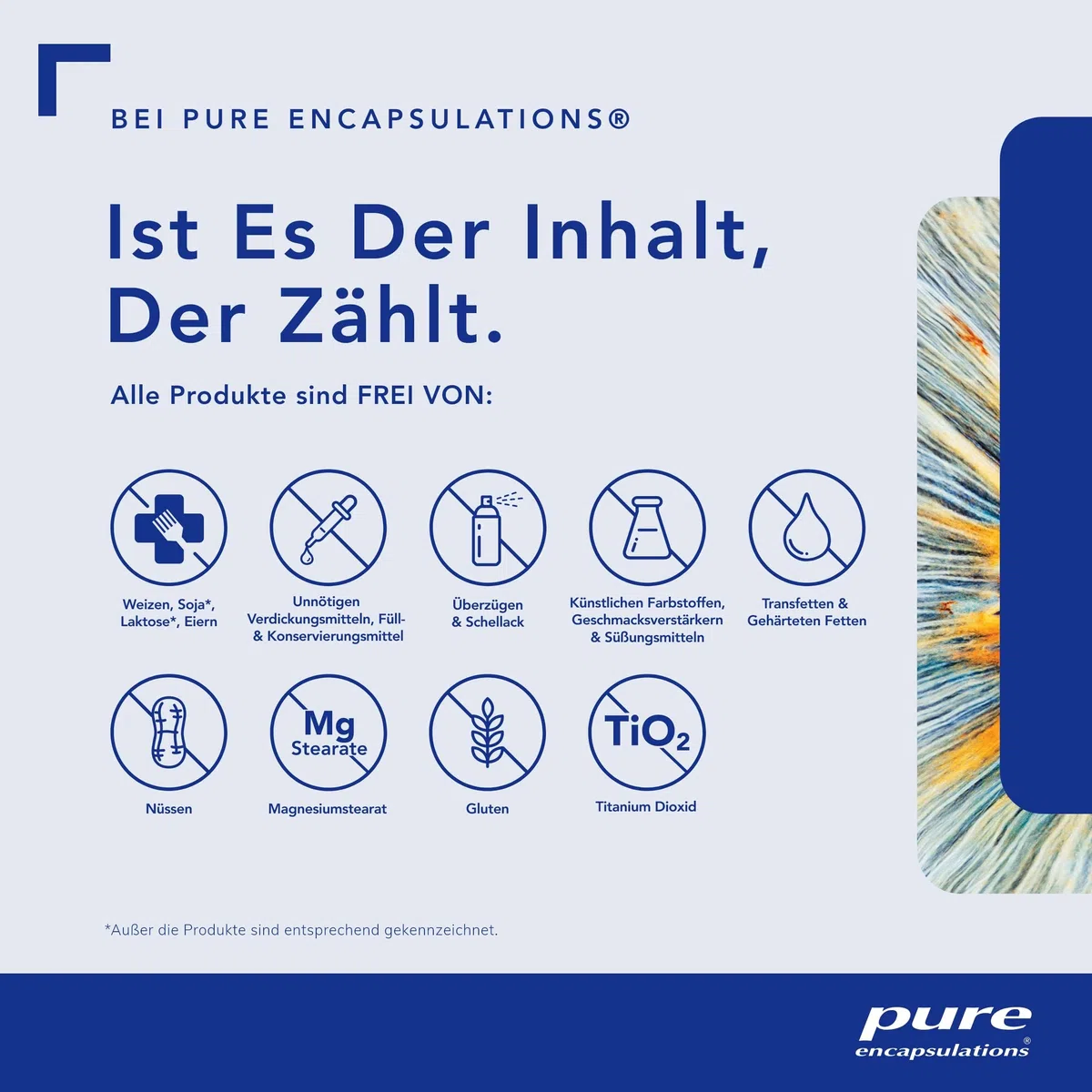 Pure Encapsulations - Pycnogenol 50mg - Hochkonzentrierter Pinienrinden-Extrakt mit OPC - 60 Kapseln