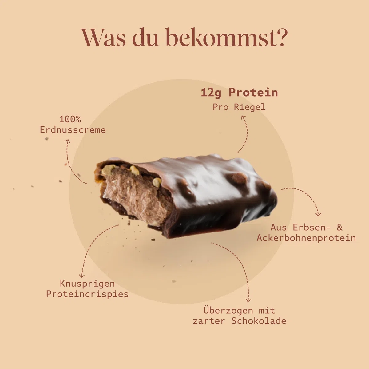 VETAIN Vegan Proteinriegel - Crispy Peanut - 12g Eiweiß pro Riegel - Mit Mönchsfrucht gesüßt - 100% natürliche Zutaten - Ohne Palmöl - Frei von Sucralose & Maltit - 12 x 55g