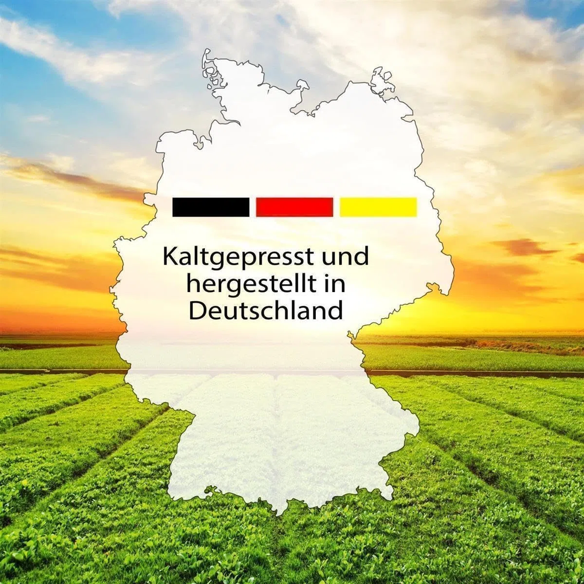3 x Lausitzer Leinöl - Lausitzer Gold (kaltgepresstes ungefiltertes Premium Leinöl), 3x 750ml