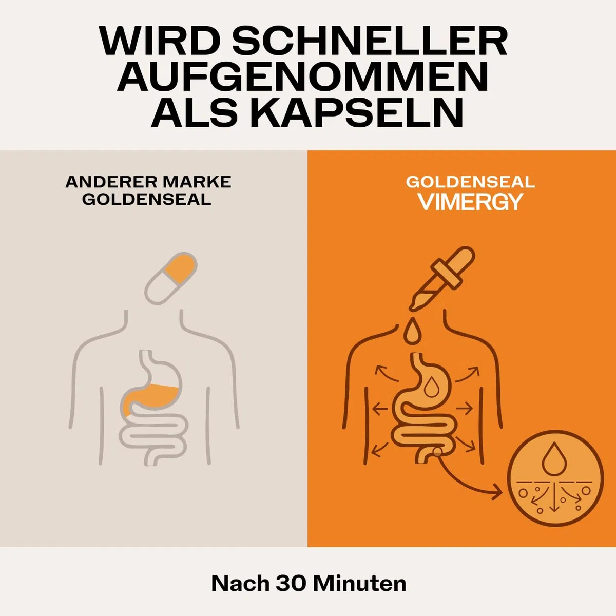 Vimergy Goldenseal, 57 Einnahmen – Goldenseal Tropfen – Vegane Goldsiegelwurzel Tinktur – Alkoholfreie Goldsiegelwurzel Rezeptur ohne Zucker, Bindemittel, Gentechnik und Gluten (115 ml)