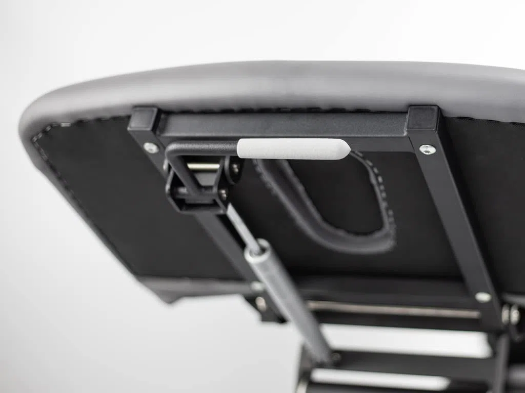 HABYS Massageliege Elektrisch Agila 2 (196 x 68cm | 2-Segmente) | Massageliegen mit Halterung für Rolle - Massagebank für Therapieliege, MDR-Zertifizierung