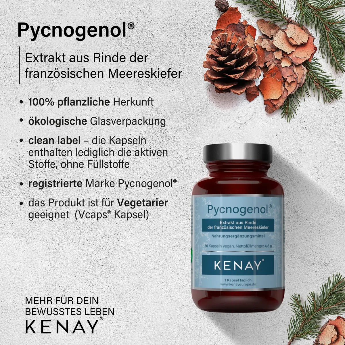Pycnogenol-Extrakt aus Rinde der französischen Meereskiefer -pinus pinaster-100mg pro Tagesdosis-pflanzliche Kapsel-vegan-Ohne Magnesiumstearat-30 Kapseln vegan KENAY EUROPE