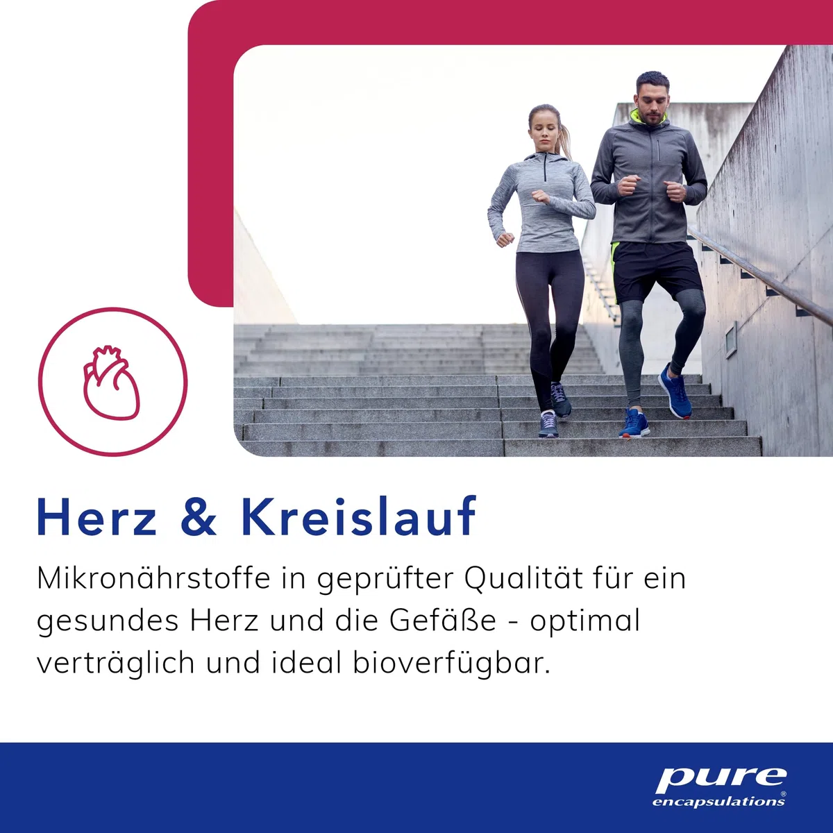Pure Encapsulations - Pycnogenol 50mg - Hochkonzentrierter Pinienrinden-Extrakt mit OPC - 60 Kapseln