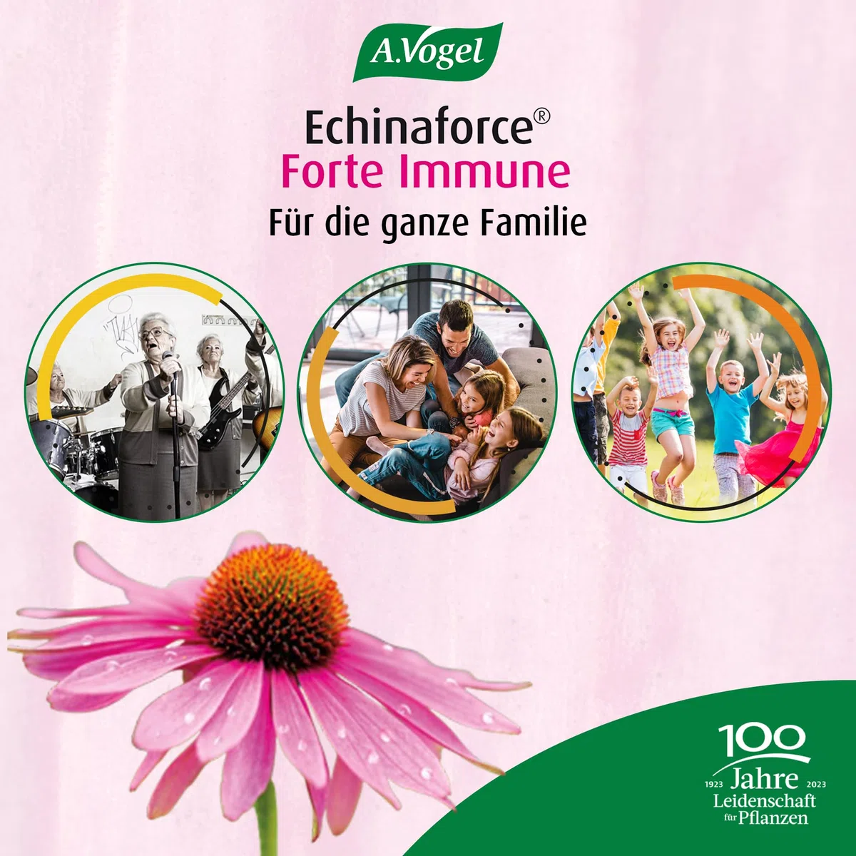 A.Vogel Echinaforce Forte Immune Tabletten 3 x 30 Stück, Immunsystem und Abwehrkraft, Nahrungsergänzungsmittel aus Echinacea Purpurea Extract, vegan, glutenfrei, laktosefrei