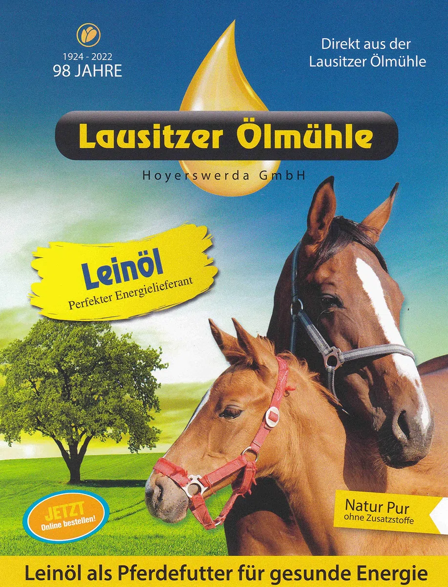 10 Liter Leinöl Leinsamenöl frisch nativ kaltgepresstes Leinöl für gesunde Energie 2 x 5 Liter