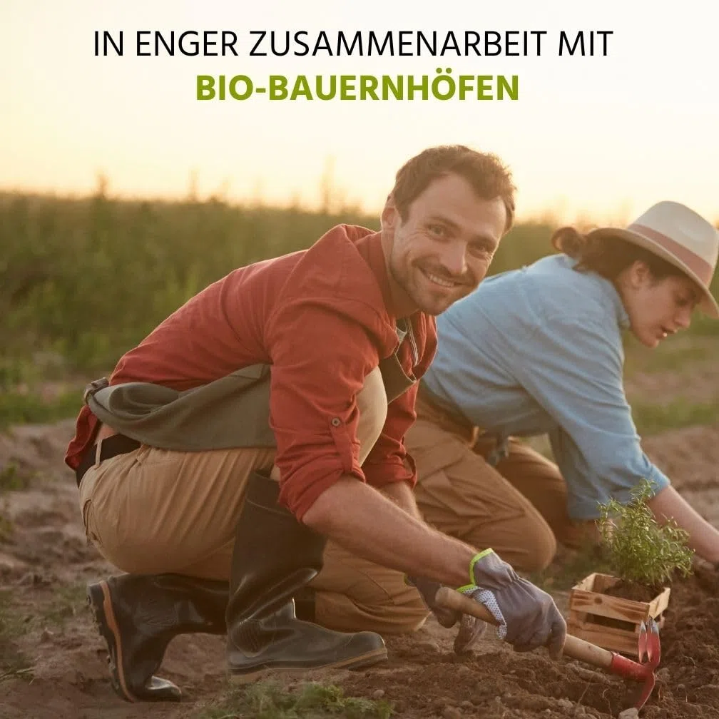 NEU! Auwald Blutwurz Tropfen BIO – Hochwertiger Auszug, Extrakt, Essenz & Tinktur – 100% BIO Landwirtschaft, Frei von künstlichen Zusätzen und Farbstoffen, Hergestellt in Österreich – 100ml