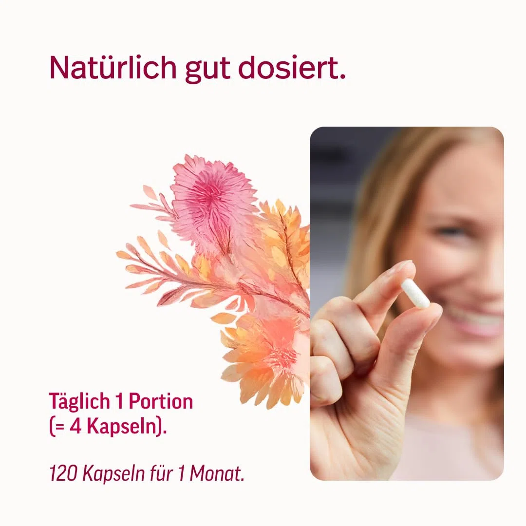 edubily® Meno Balance Kapseln – Pflanzlicher Komplex mit Nachtkerzenöl, Safran-, Hopfen-, Rotklee- & Ginseng-Extrakt für Frauen rund um die Menopause - Standardisiert - Ohne Soja - Vegan (120 Kapseln)