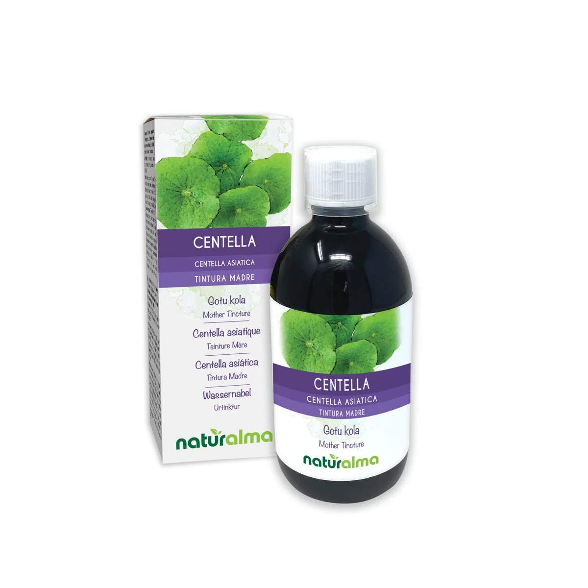 Wassernabel (Centella asiatica) Kraut Alkoholfreier Urtinktur Naturalma - Flüssig-Extrakt Tropfen 500 ml - Nahrungsergänzungsmittel - Veganer