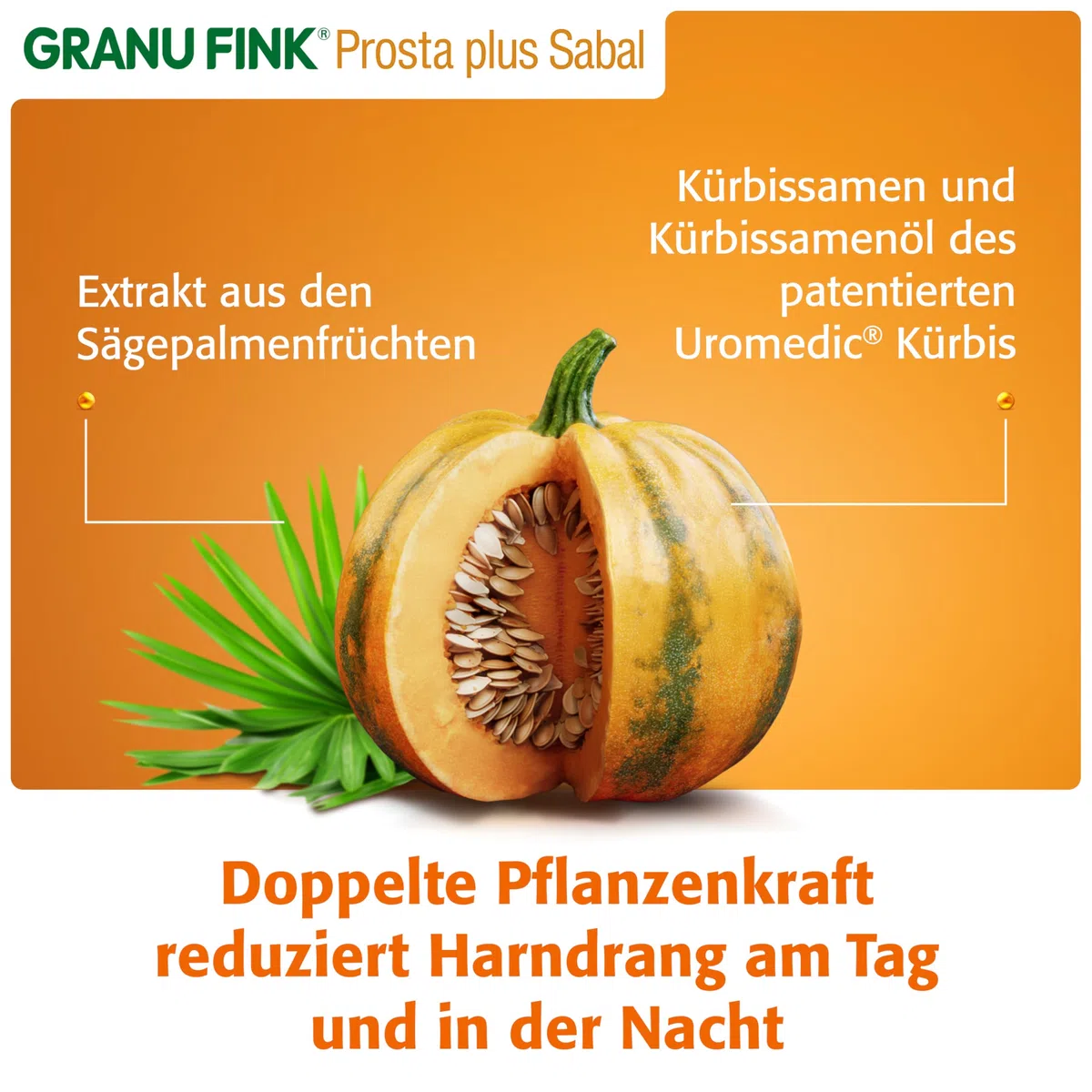 GRANU FINK Prosta plus Sabal – Prostata-Kapseln zur Stärkung des Prostata-Blasen-Systems – mit Uromedic Kürbis und Sägepalme – made in Germany – 200 Hartkapseln