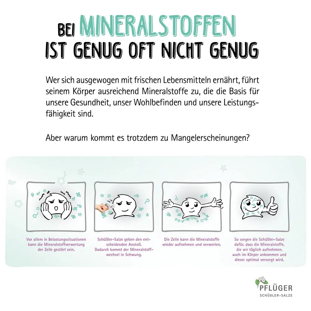PFLÜGER Schüßler Salze Set Nr. 1-12 je 100 Tabletten + praktischer Tasche - Haus- und Reiseapotheke - glutenfrei