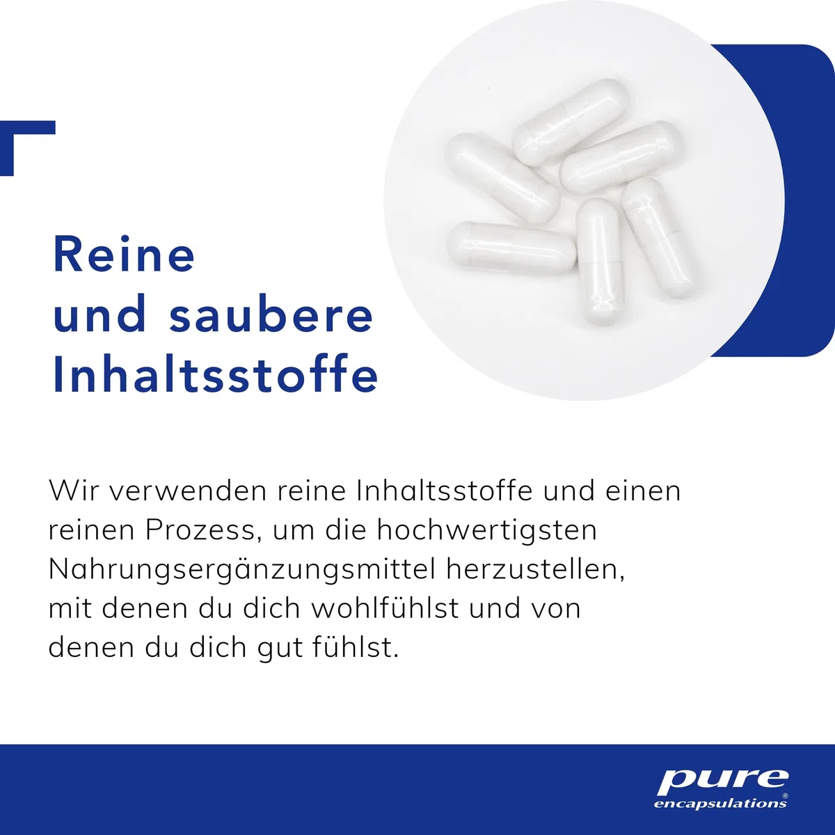 Pure Encapsulations - Pycnogenol 50mg - Hochkonzentrierter Pinienrinden-Extrakt mit OPC - 60 Kapseln
