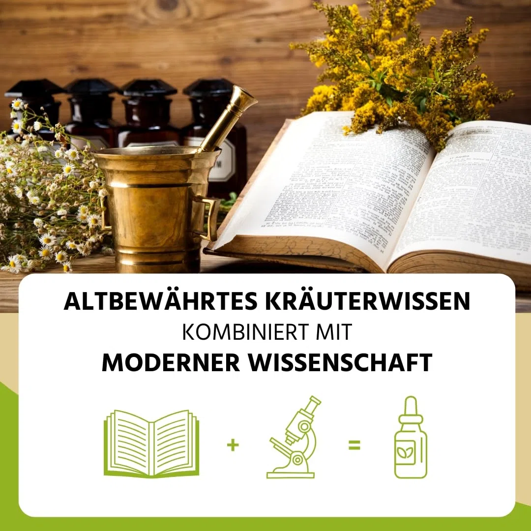 NEU! Auwald Blutwurz Tropfen BIO – Hochwertiger Auszug, Extrakt, Essenz & Tinktur – 100% BIO Landwirtschaft, Frei von künstlichen Zusätzen und Farbstoffen, Hergestellt in Österreich – 100ml